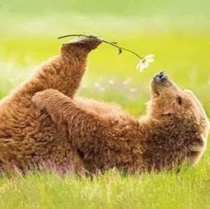 Meet your Posher, Debra